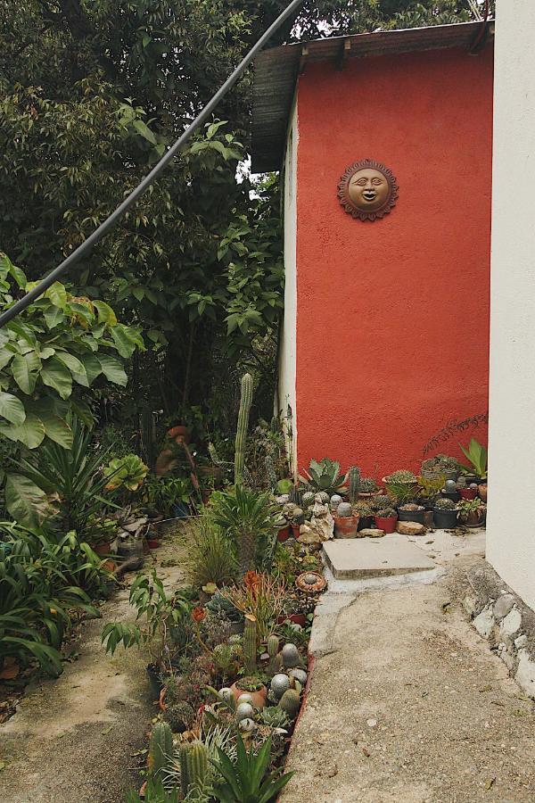 Cabana Campestre En Oaxaca 外观 照片