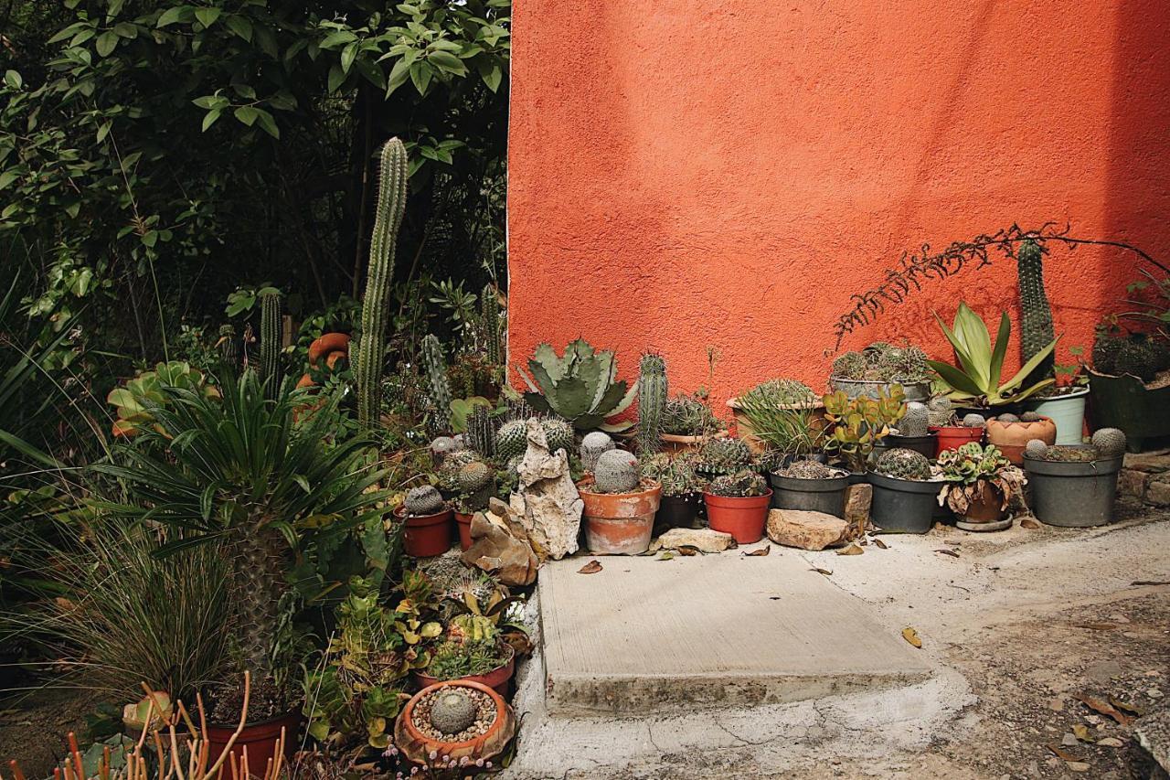 Cabana Campestre En Oaxaca 外观 照片