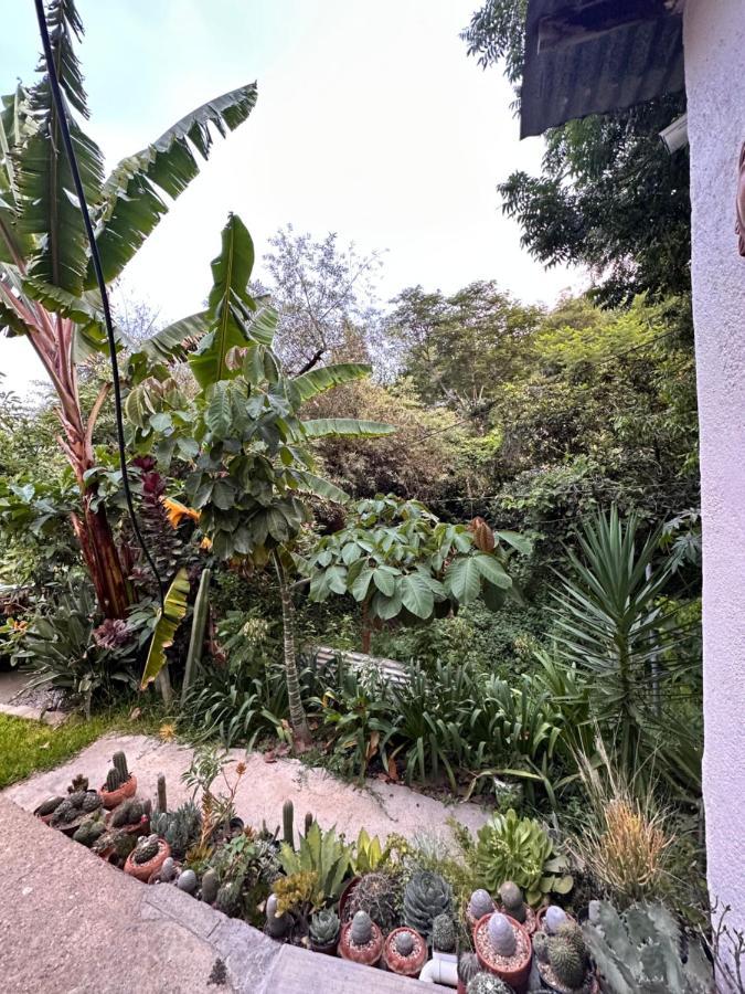Cabana Campestre En Oaxaca 外观 照片